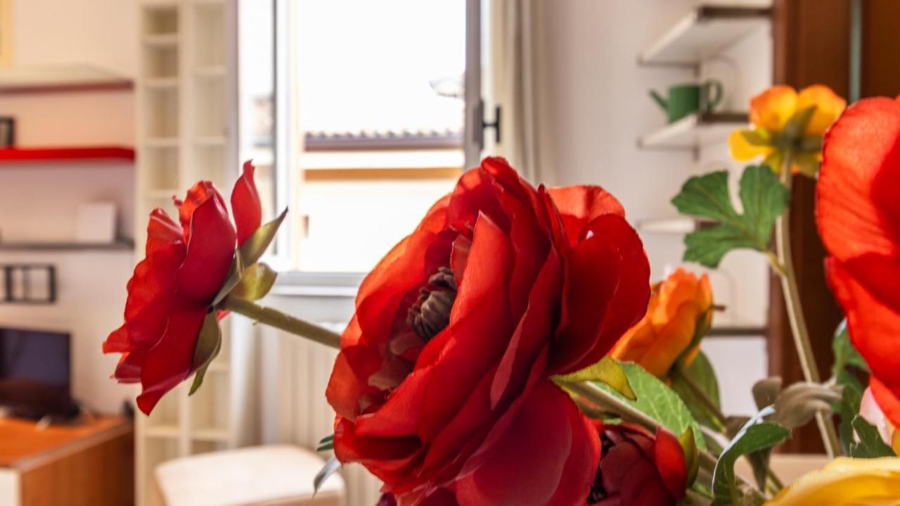 Monolivi 35 - Affitti Brevi Italia Apartmán Modena